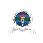 Track I.T Graphics 5